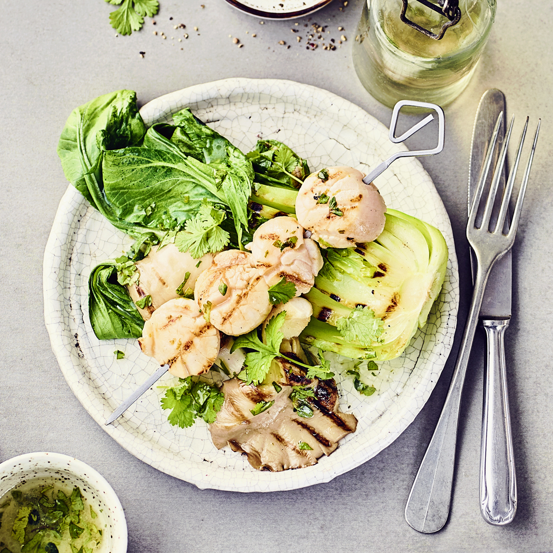 Gegrillte Jakobsmuscheln mit Pak Choi und Austernpilzen