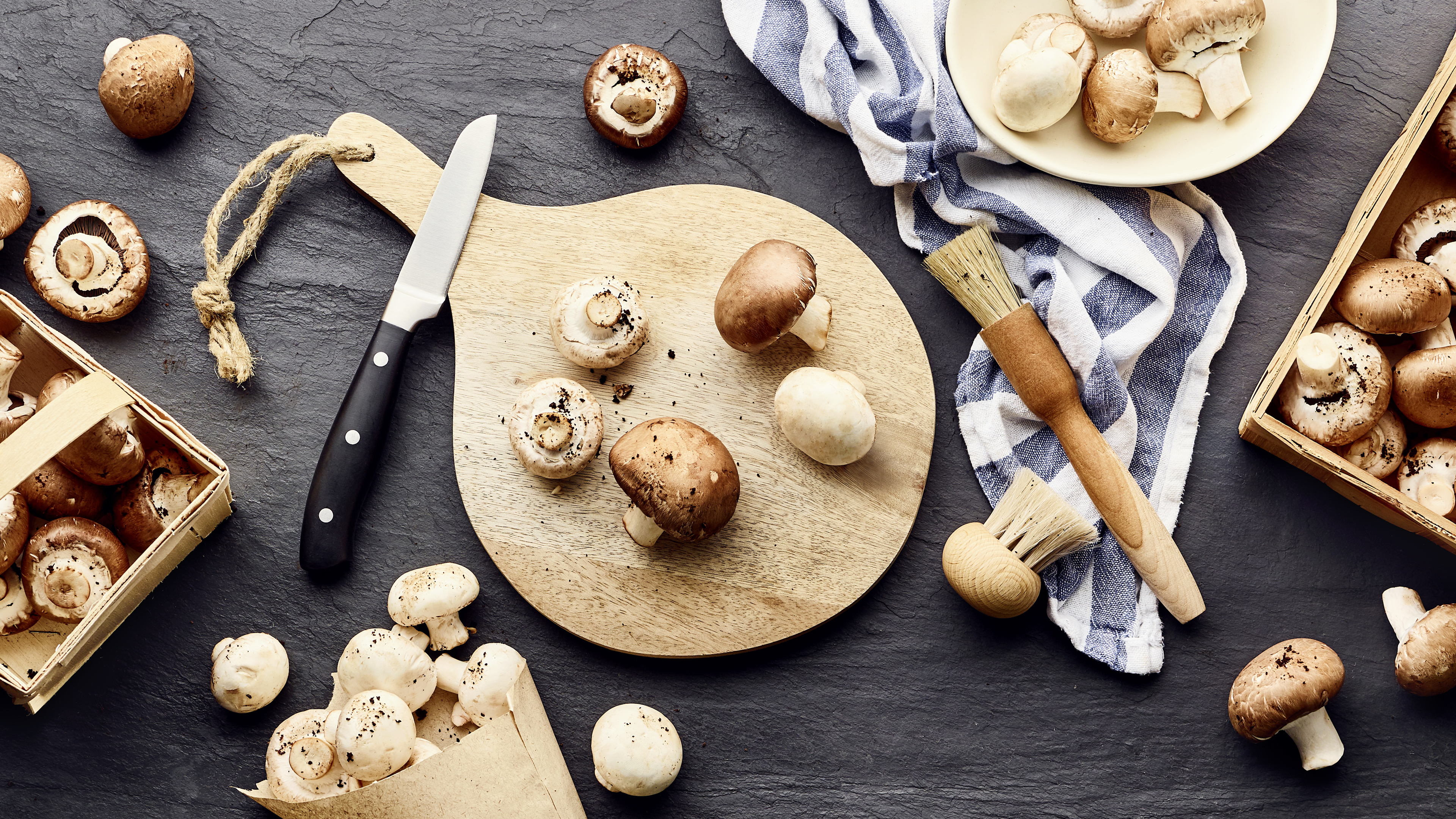 Champignons sind auch als Egerlinge bekannt. 