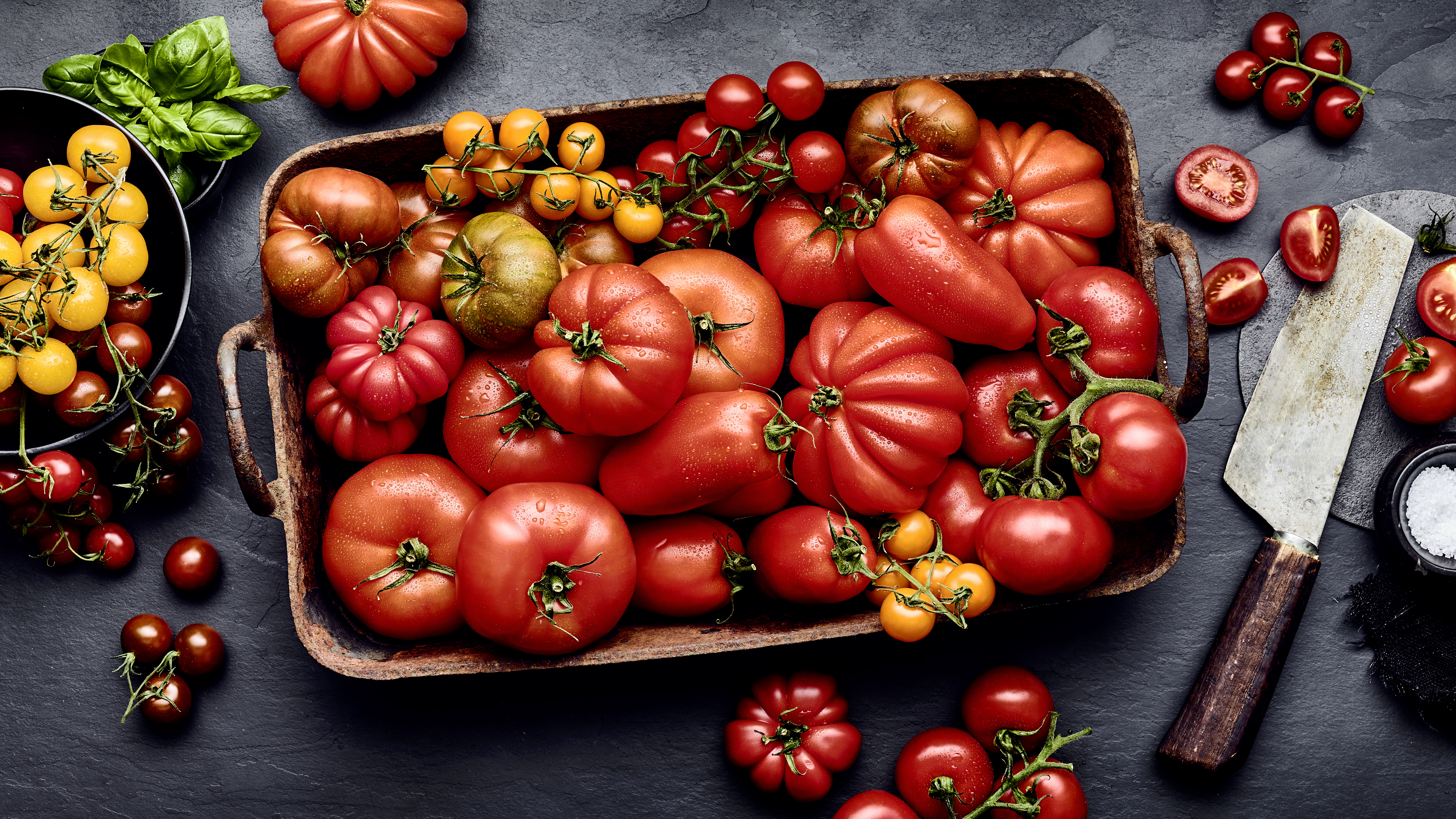 Tomaten sind heute mit über 2500 Sorten weltweit vertreten. 