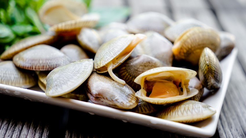 Das helle Venusmuschel-Fleisch  ähnelt dem der Miesmuscheln. 