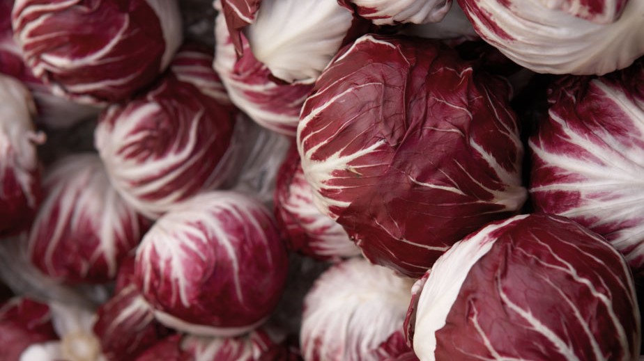 Radicchio ist eine aus Italien stammende Salatsorte. 