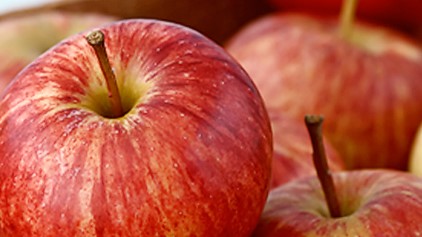 Braeburn ist eine besonders knackige uns saftige Apfelsorte. 