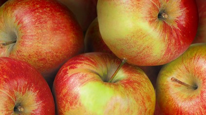 Jonagold ist ein klassischer Winterapfel. 
