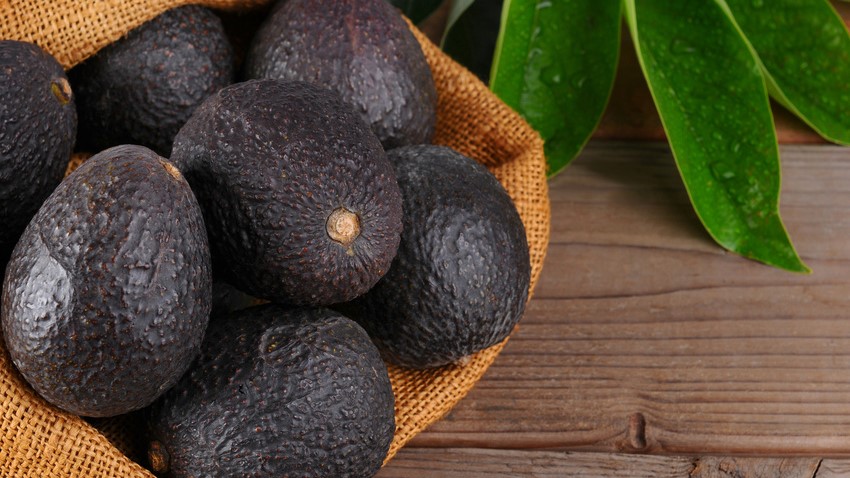 Die Avocado Hass  hat eine unebene Schale.
