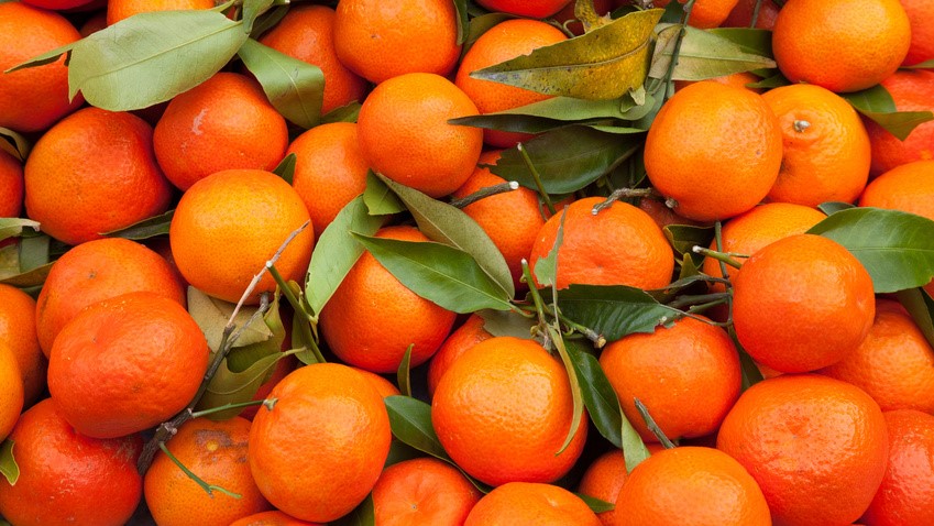Clementinen sind süßer als ihre Verwandten, die Mandarinen. 