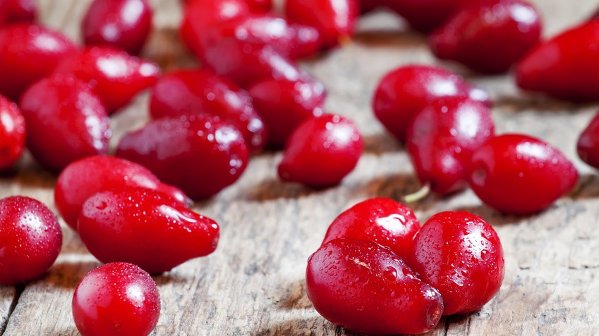 Cranberries heißen zu Deutsch Großfrüchtige Moosbeere. 