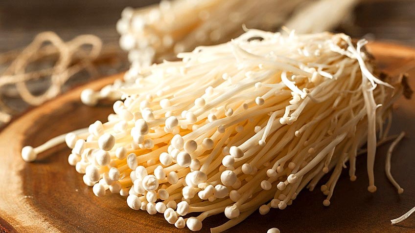 Der Enoki ist an seinem kleinen Kopf und langem Stiel zu erkennen. 