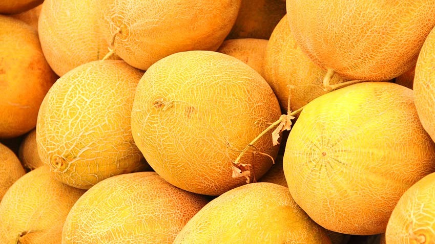 Die Honigmelone ist eigentlich kein Obst, sondern ein Kürbisgewächs. 