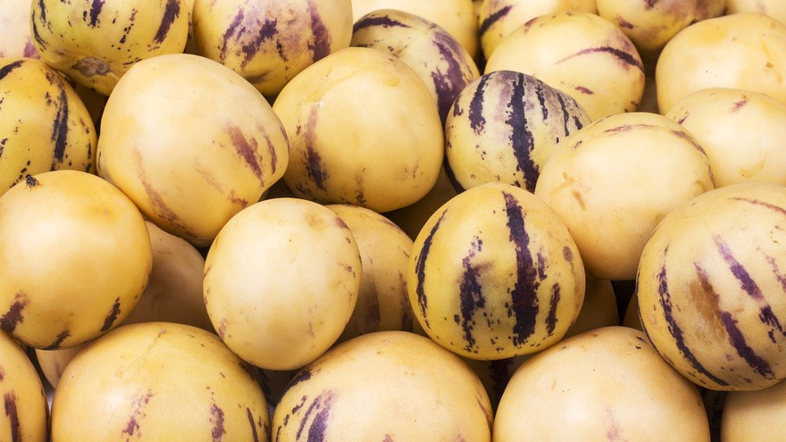 Pepinos werden ohne Schale verzehrt. 