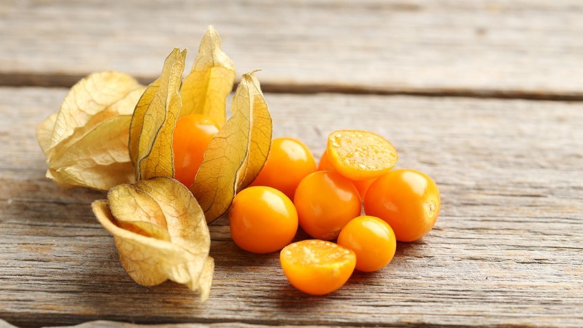Die Physalis ist auch als Lampionfrucht bekannt. 