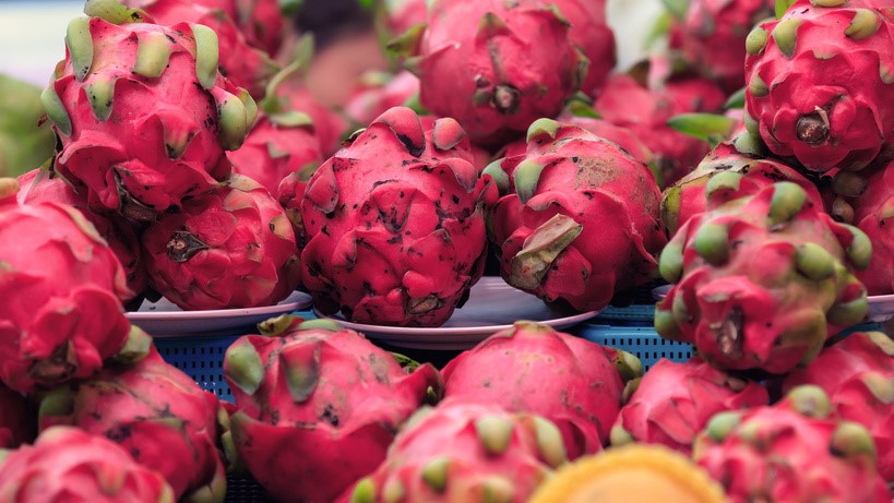 Die rote Pitahaya wird auch Drachenfrucht genannt. 