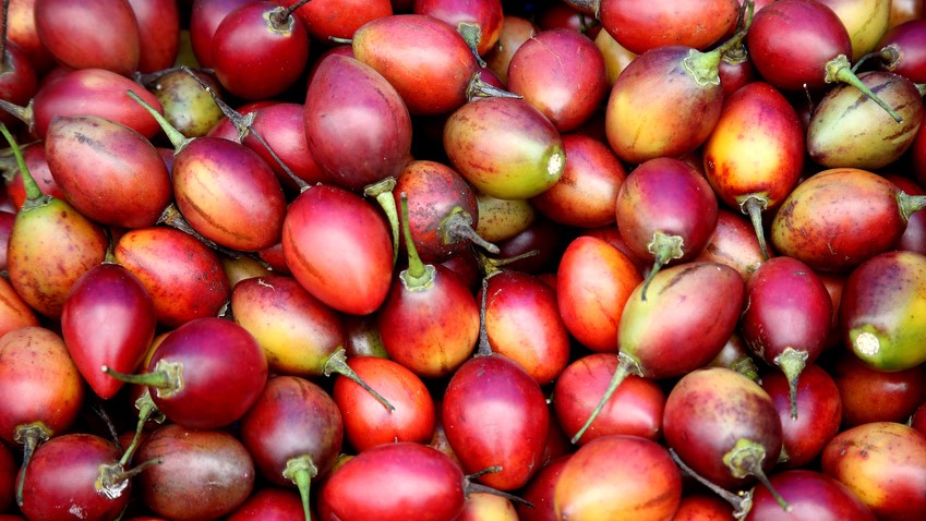 Tamarillos werden wie Tomaten in Gerichten und Salaten verwendet. 