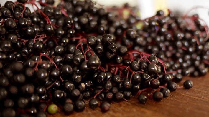 Holunderbeeren harmonieren gut mit Birnen oder Quitten. 