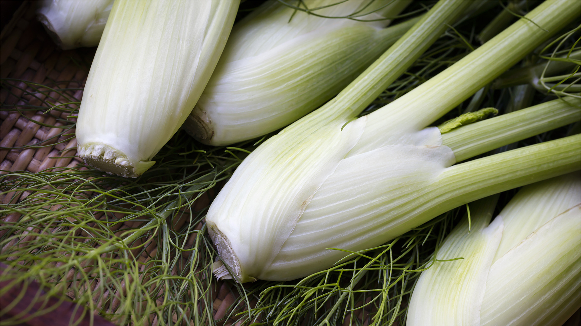 Minifenchel hält sich im Kühlschrank bis zu 2 Wochen. 