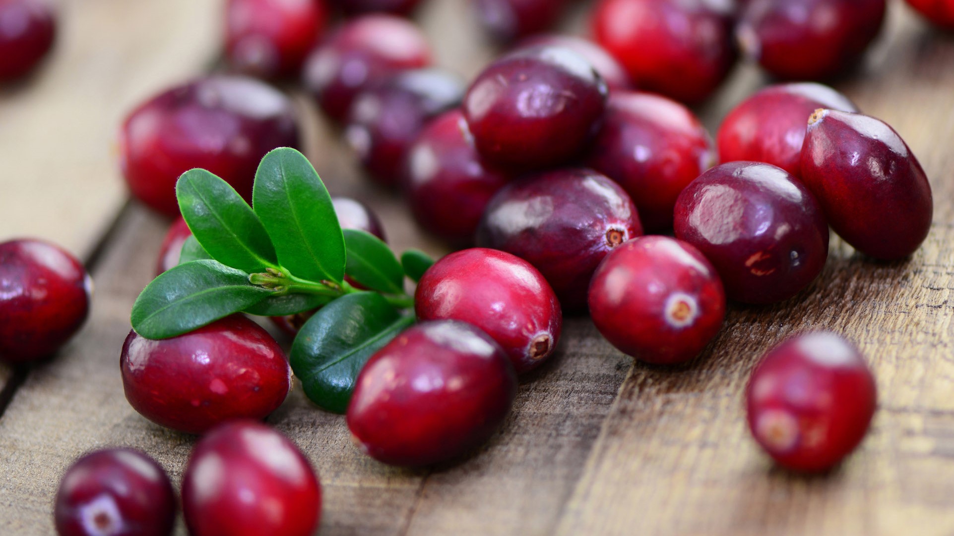 Preiselbeeren sind hervorragende Begleiter zu herzhaften Fleischgerichten.