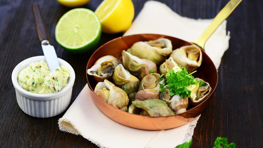 Charakteristisch für die Weinbergschnecke ist ihr bräunliches Gehäuse. 