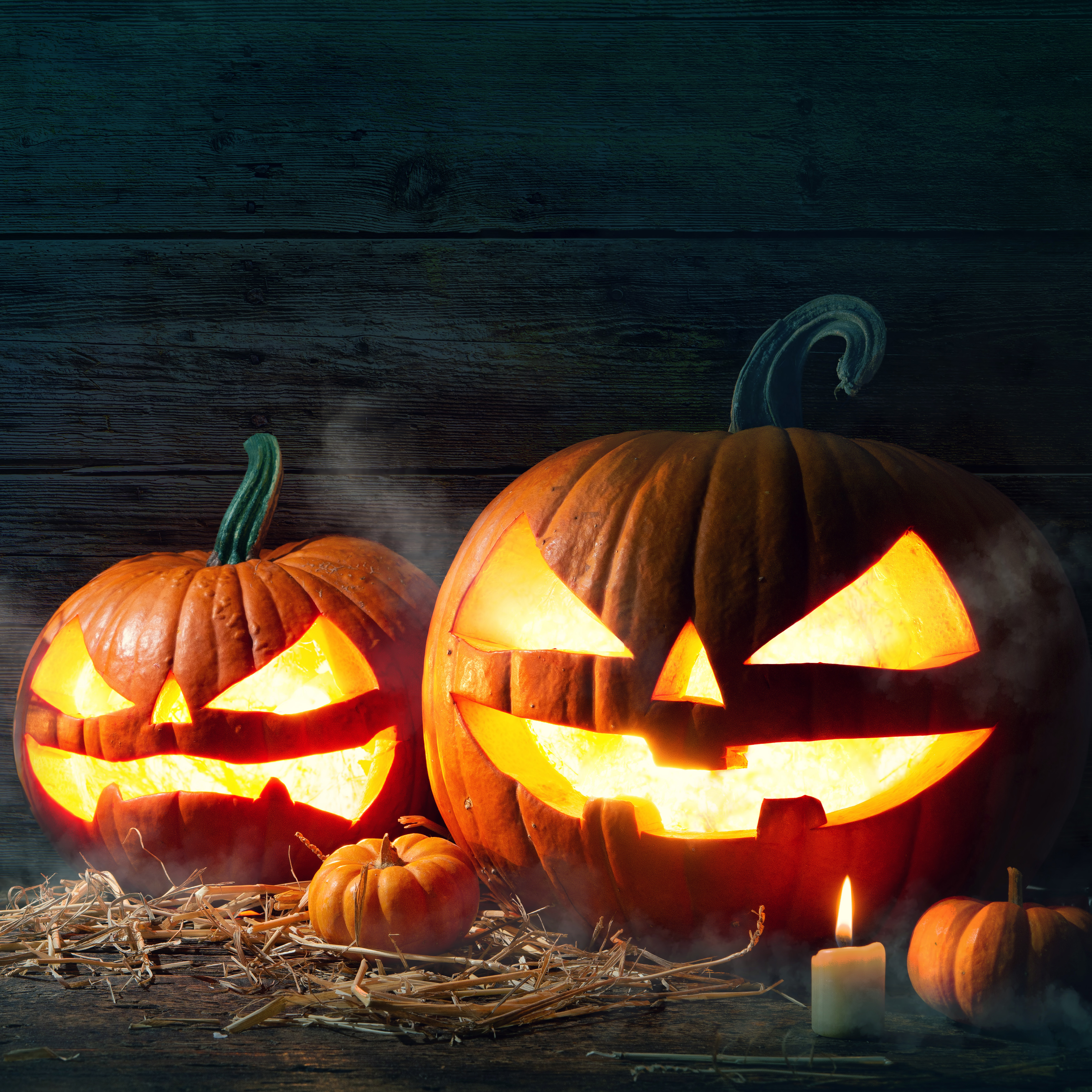 Leuchtende Halloween-Kürbisse vor dunklem Hintergrund