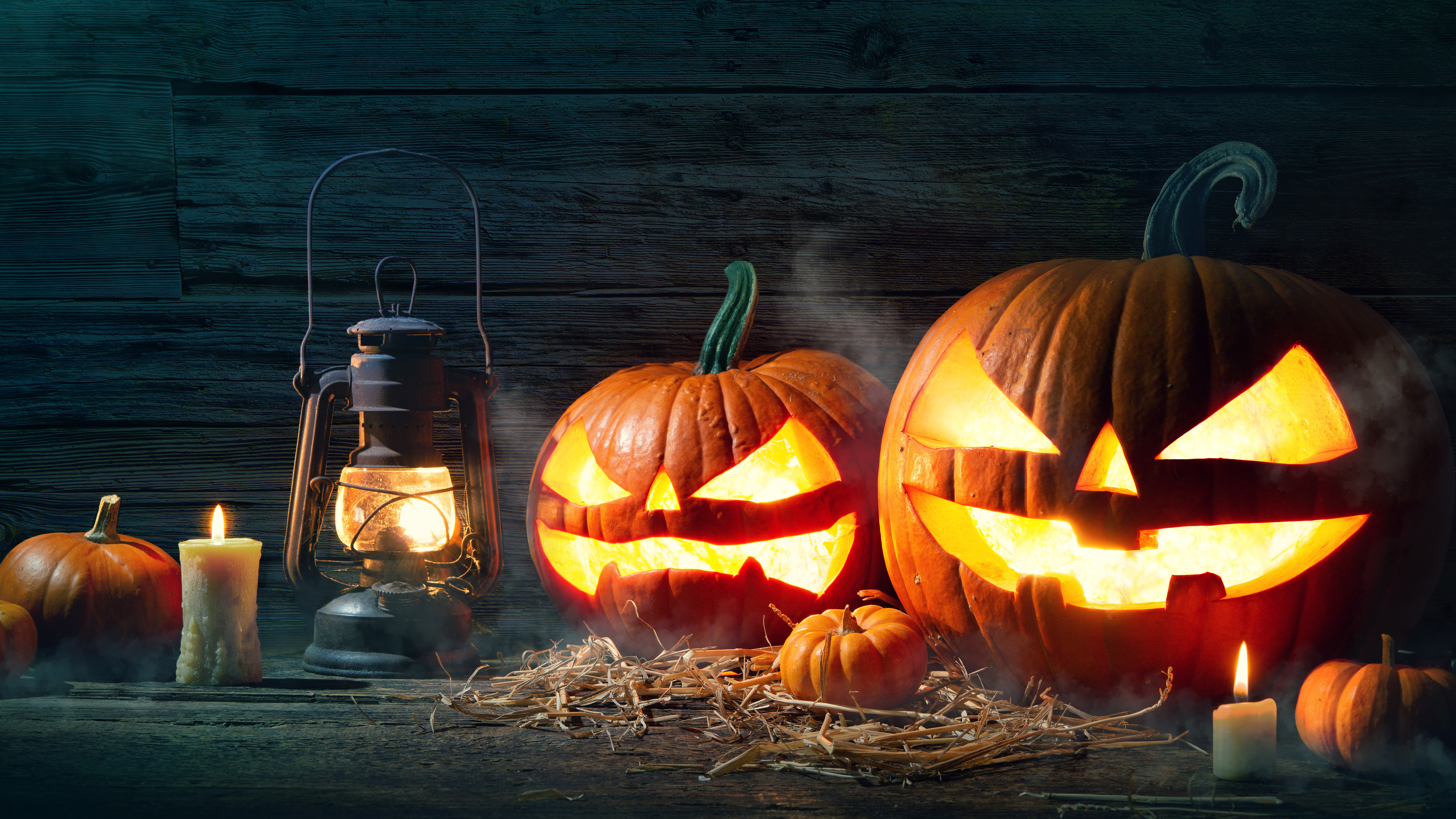 Leuchtende Halloween-Kürbisse vor dunklem Hintergrund