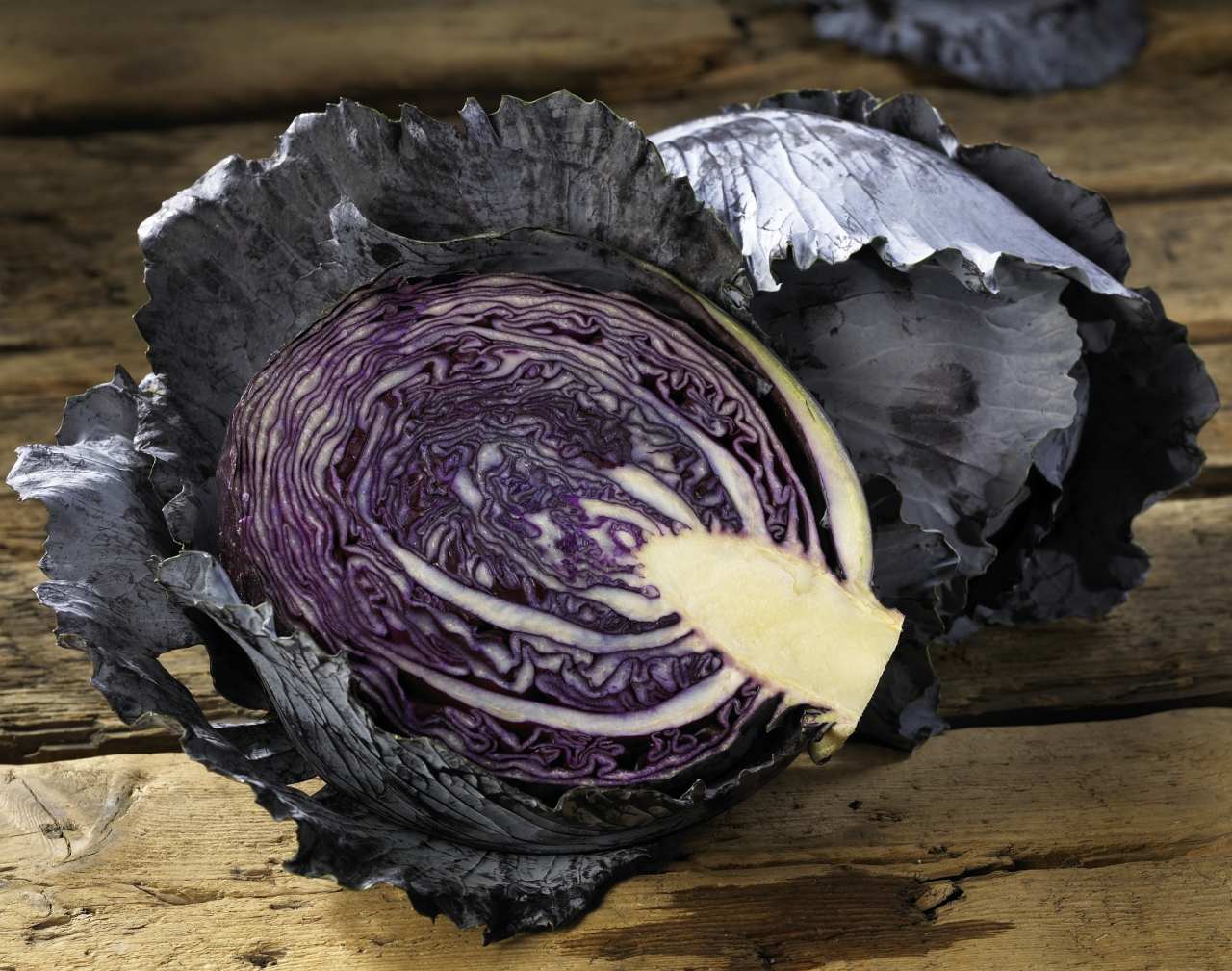 Rotkohl oder Blaukraut ist eine beliebte Beilage zu deftigen Braten und Rouladen.