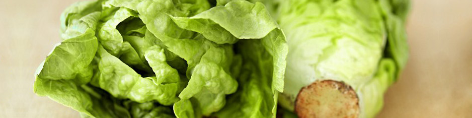 Salatherzen sind die Blätter von Salatköpfen. 