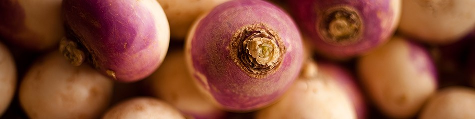 Steckrübe ähneln geschmacklich Kohlrabi. 