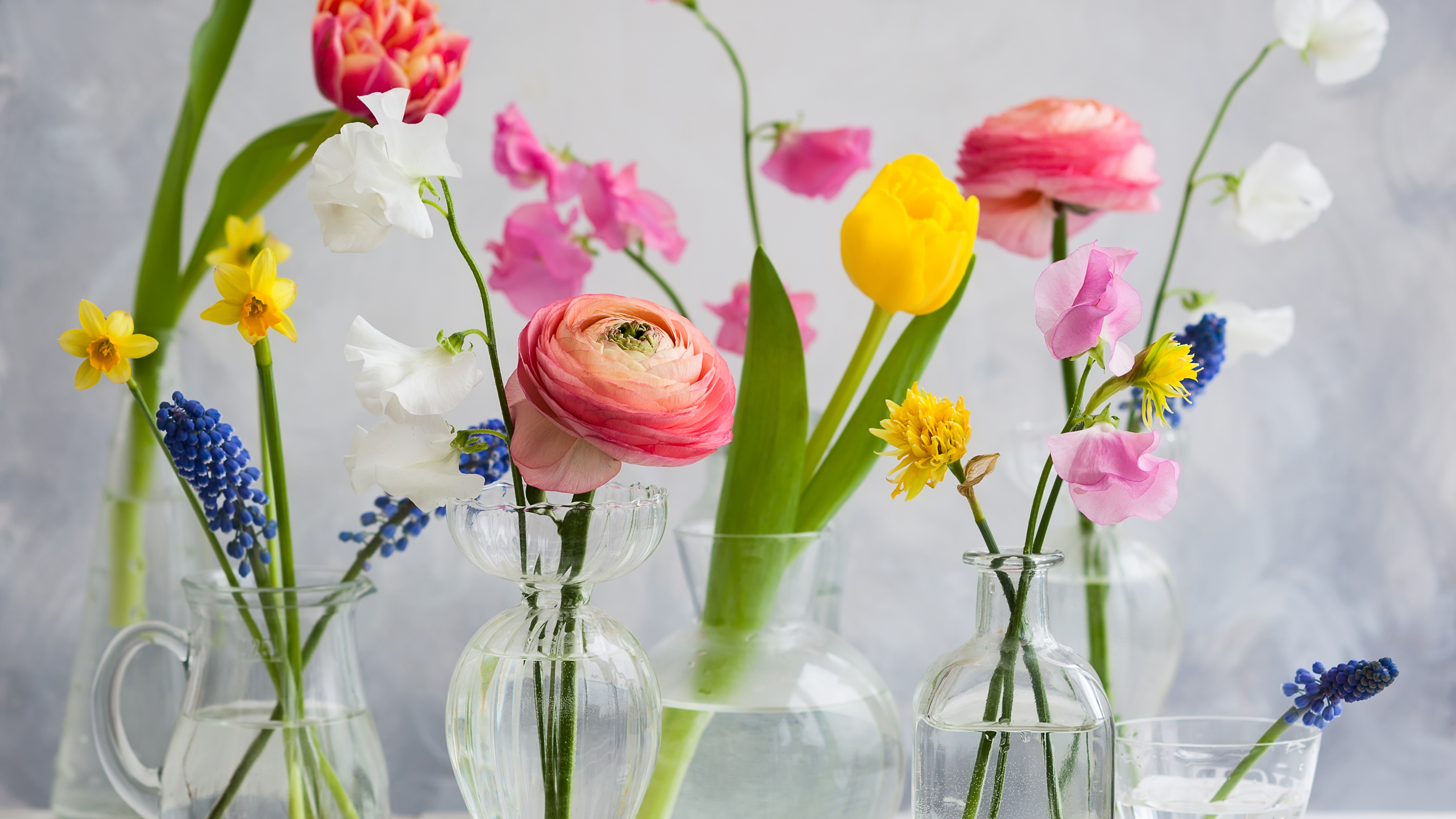 Verschiedene Frühlingsblumen in Gläsern