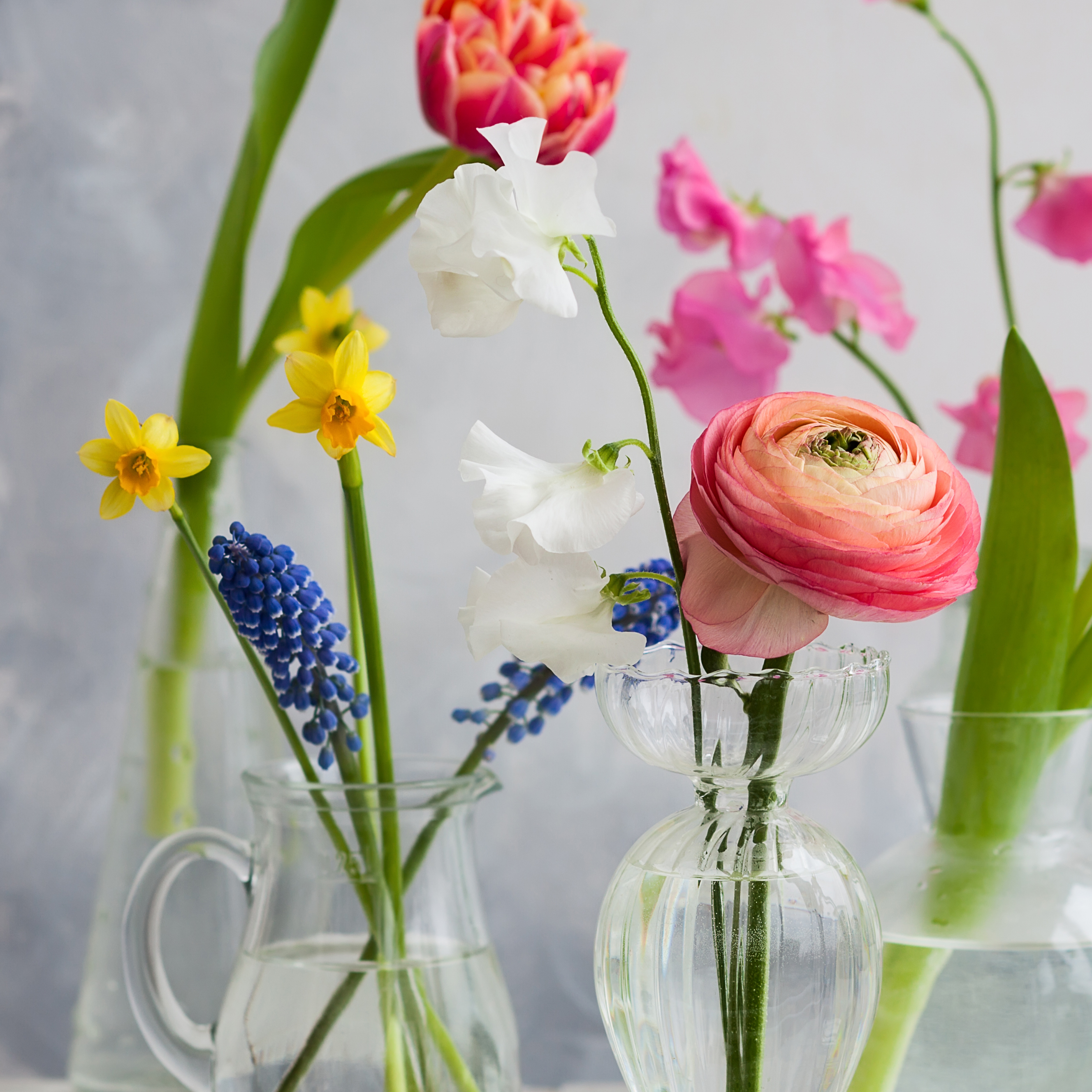 Verschiedene Frühlingsblumen in Gläsern