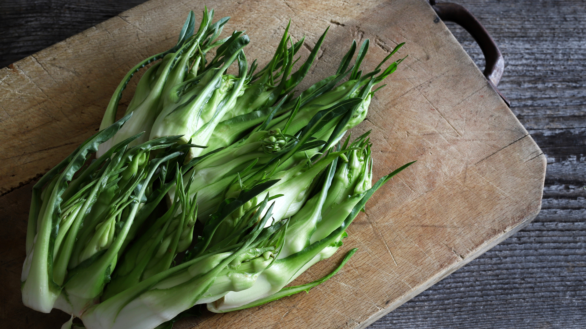 Die Puntarelle, wegen der Form ihrer Blütenknospen im deutschen Sprachraum auch bekannt als Chicorée- oder Vulkanspargel, ist eine Chicorée-Art.